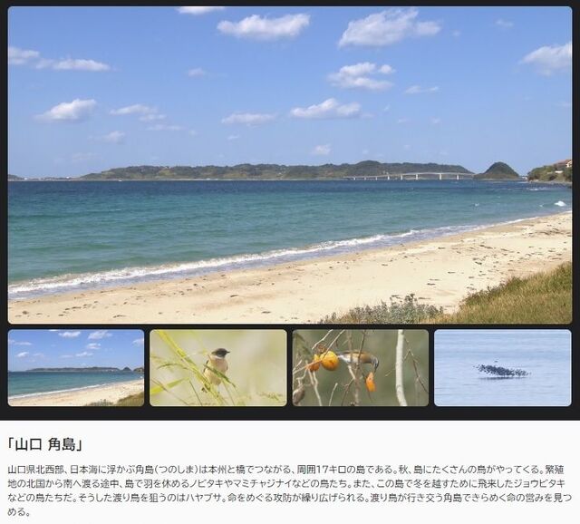 �ե���