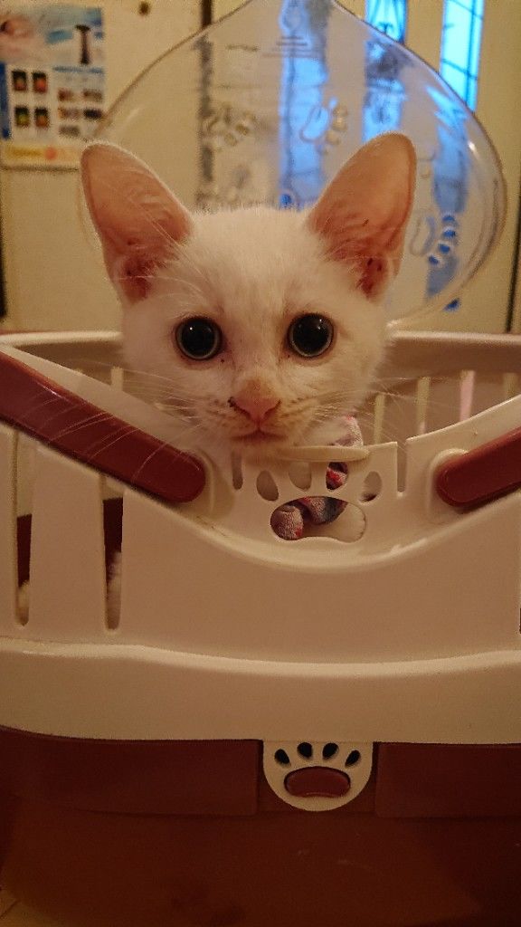 �ե���