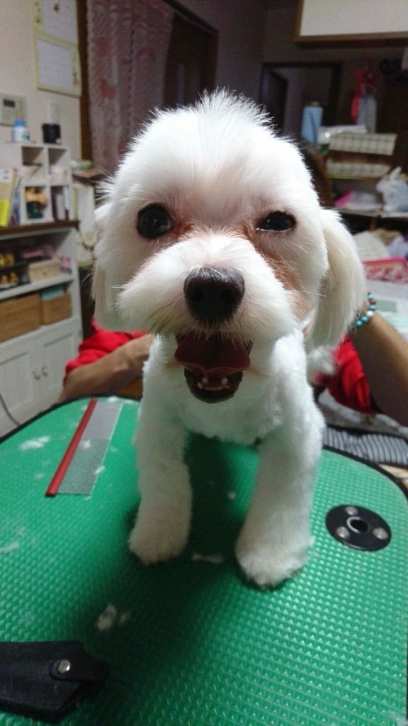 �ե���