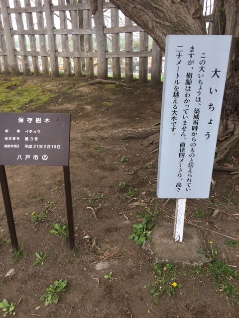 �ե���