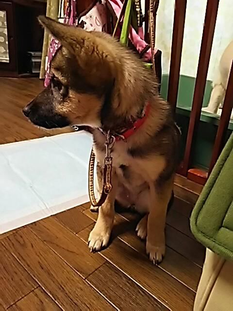 �ե���