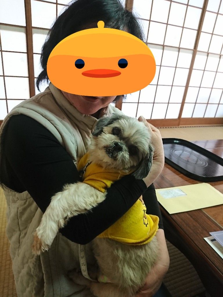�ե���