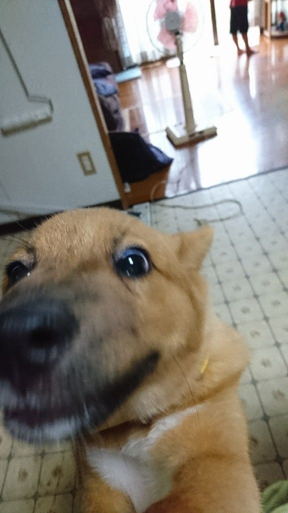 �ե���