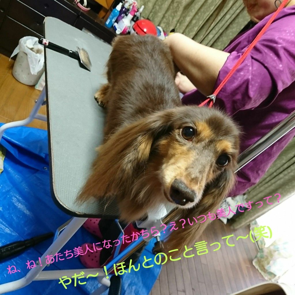 �ե���