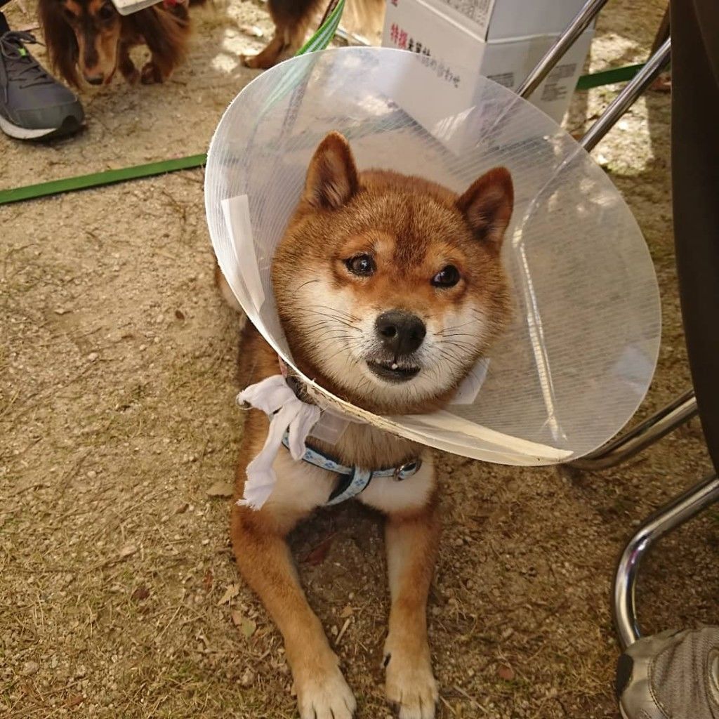 �ե���