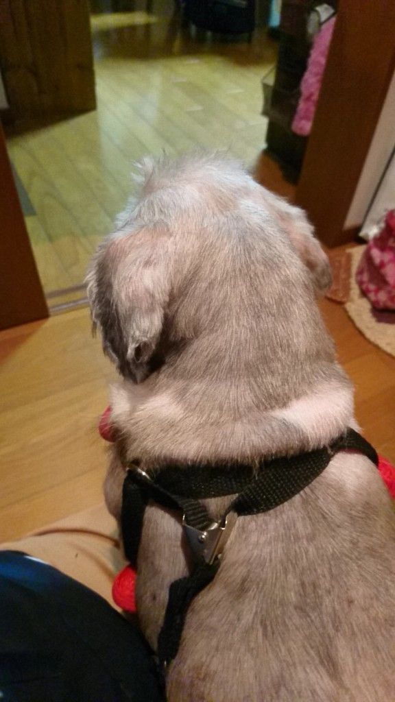 �ե���