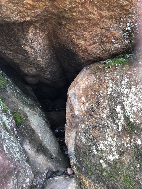 �ե���