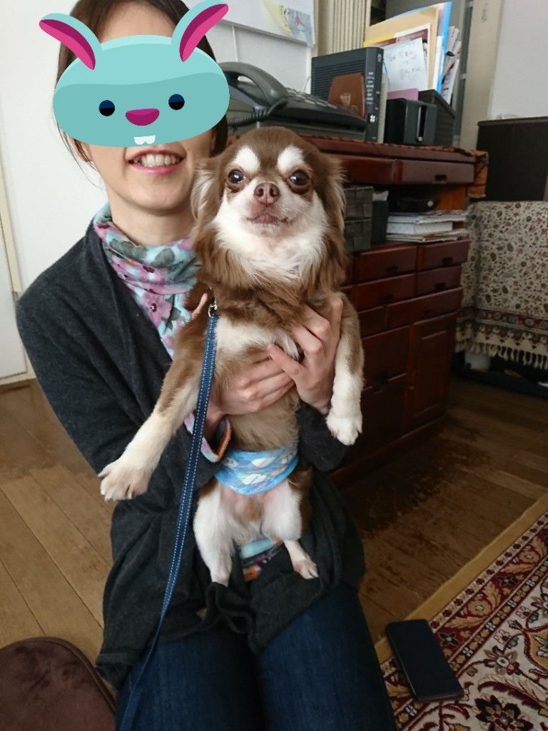�ե���