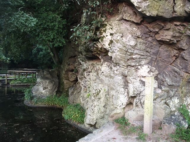 �ե���