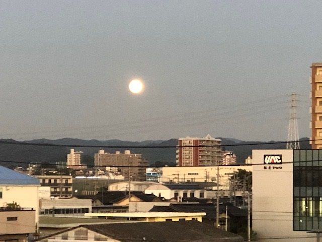 �ե���
