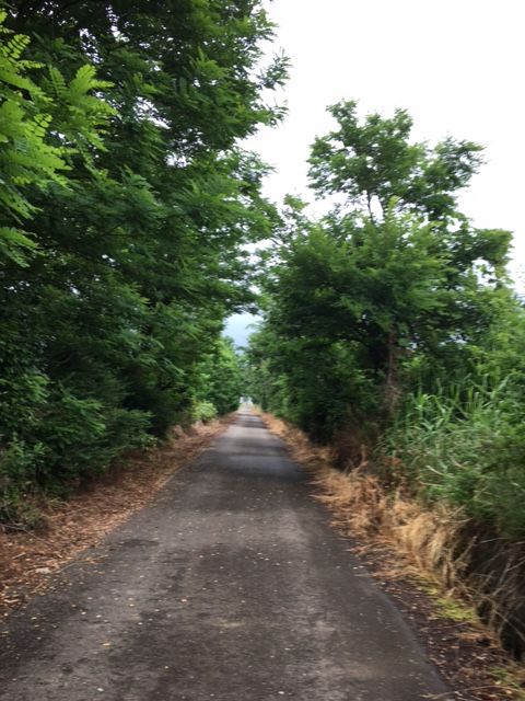 �ե���
