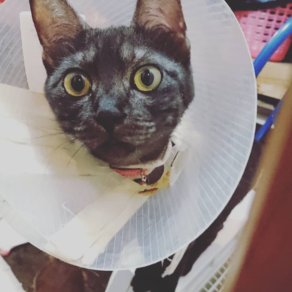 �ե���