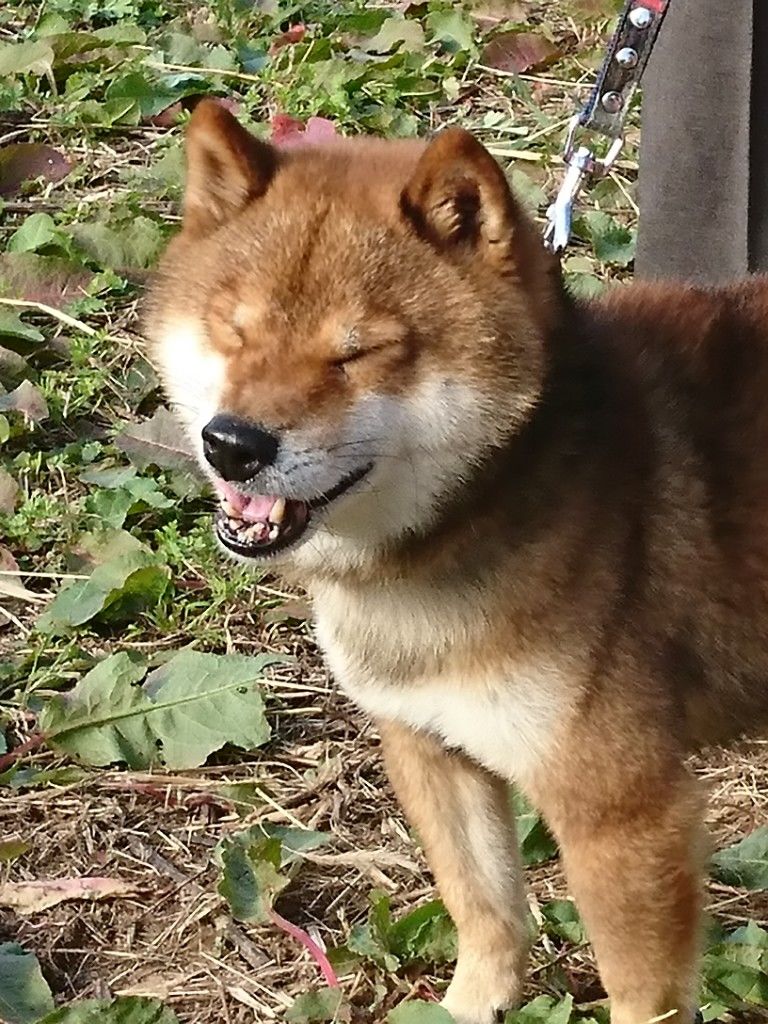 �ե���