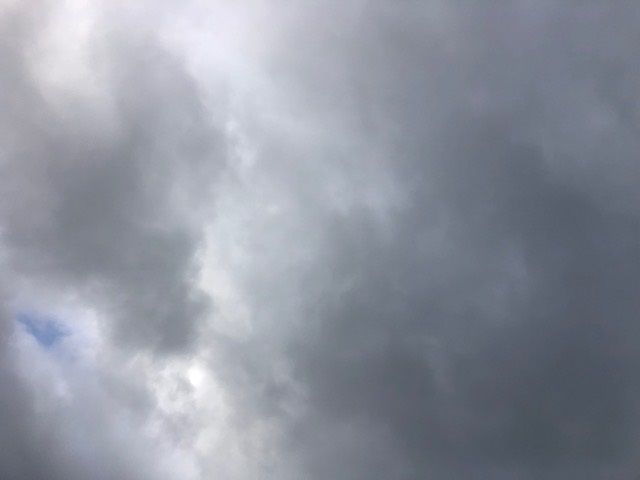 �ե���