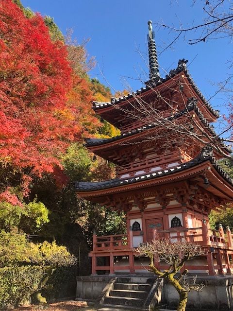 �ե���