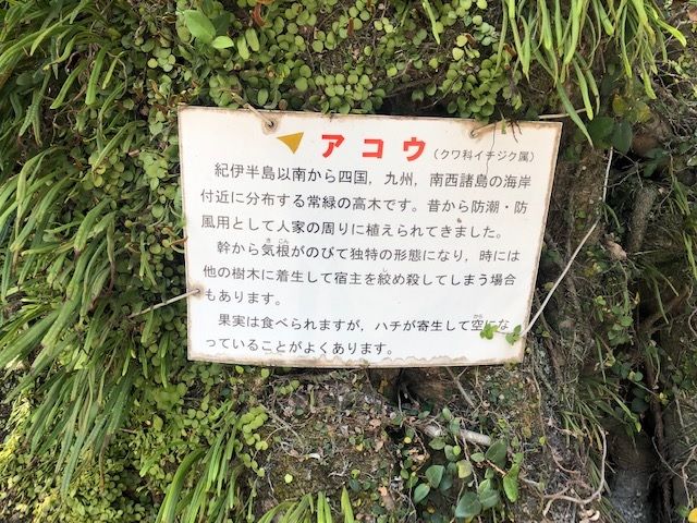 �ե���