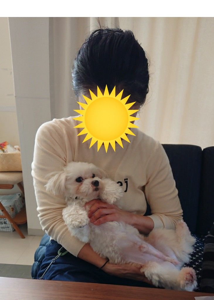 �ե���
