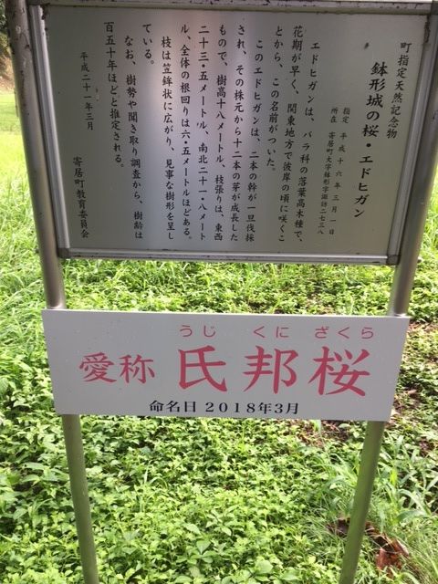 �ե���