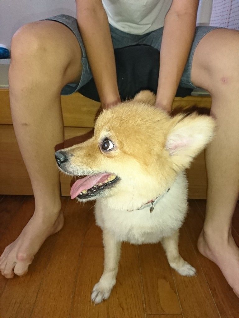 �ե���