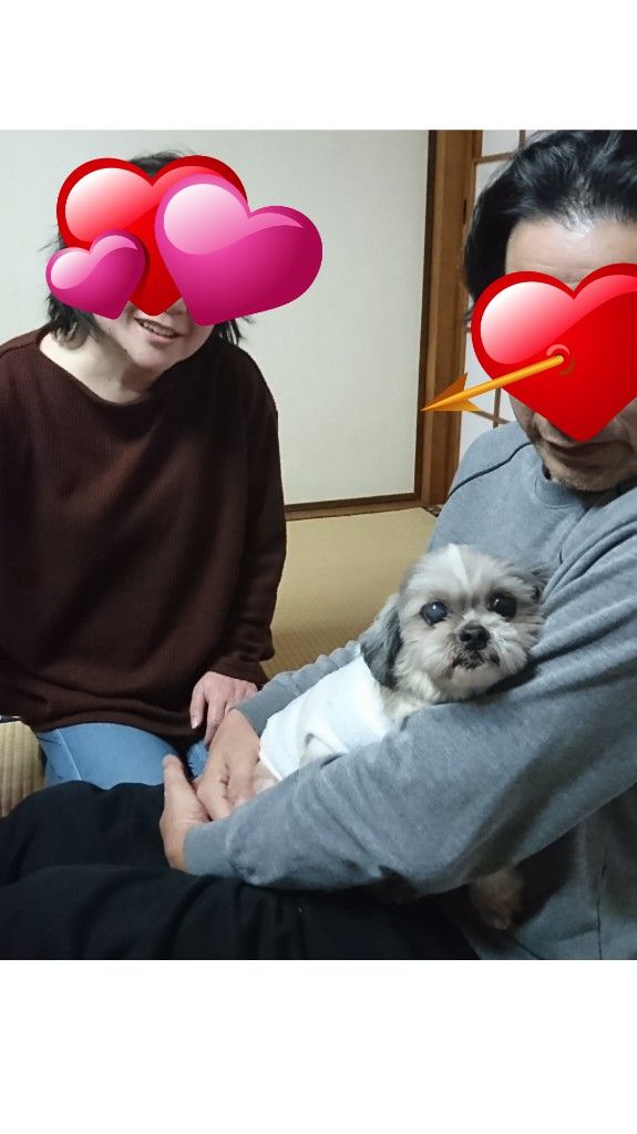 �ե���