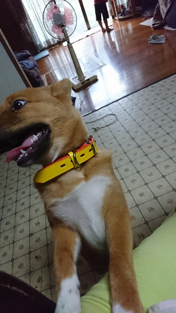 �ե���