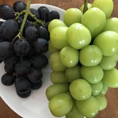 �ե���