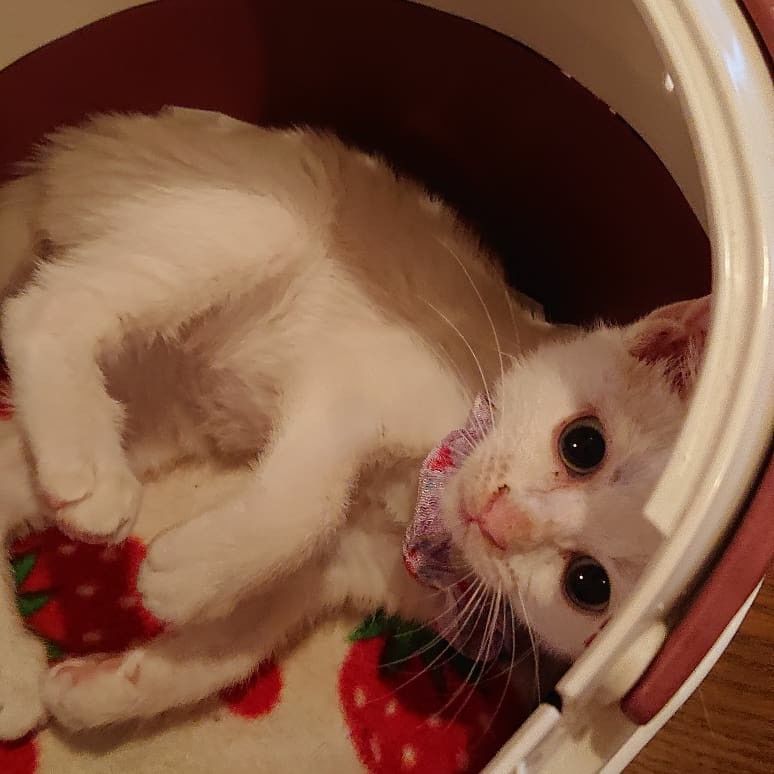�ե���