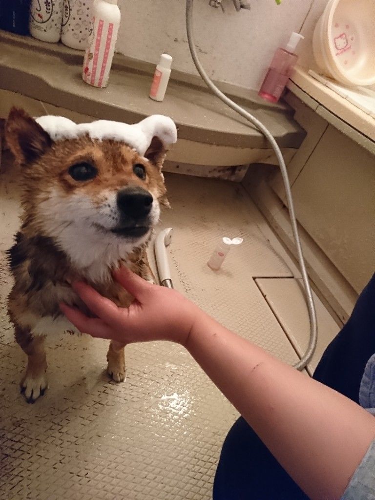 �ե���
