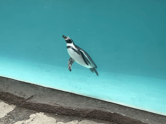 ե