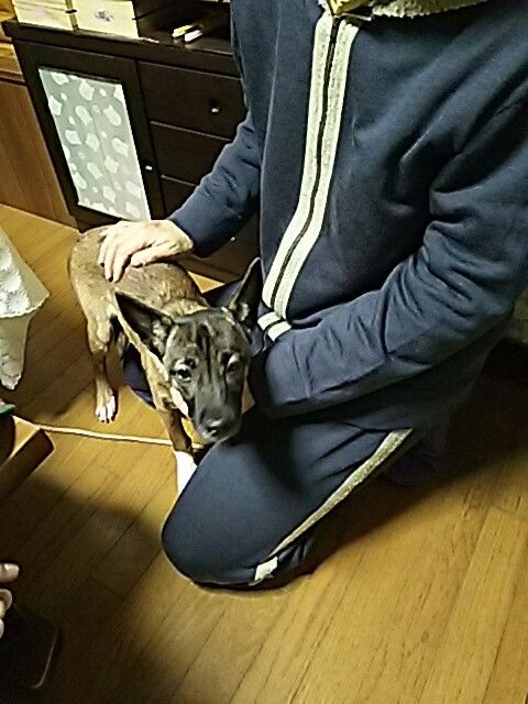 �ե���