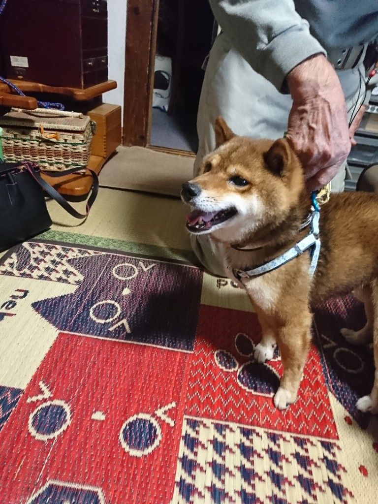 �ե���