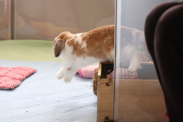 フォト