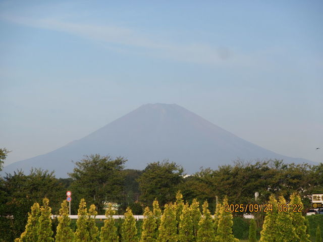 フォト
