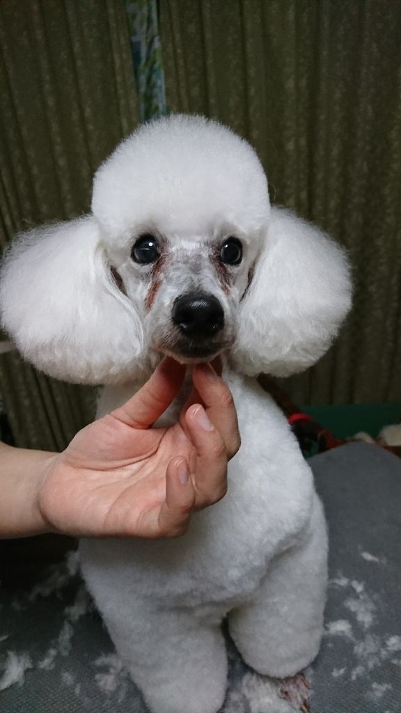 �ե���