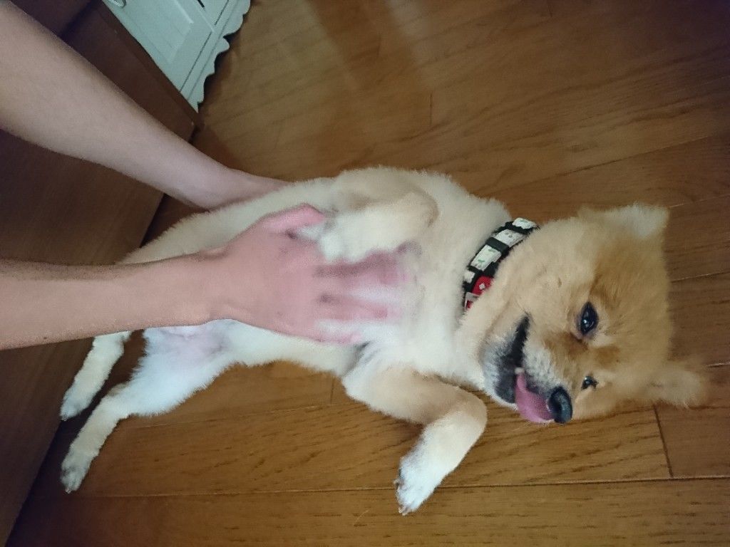�ե���