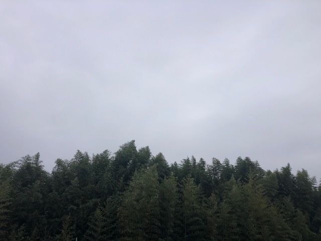 �ե���