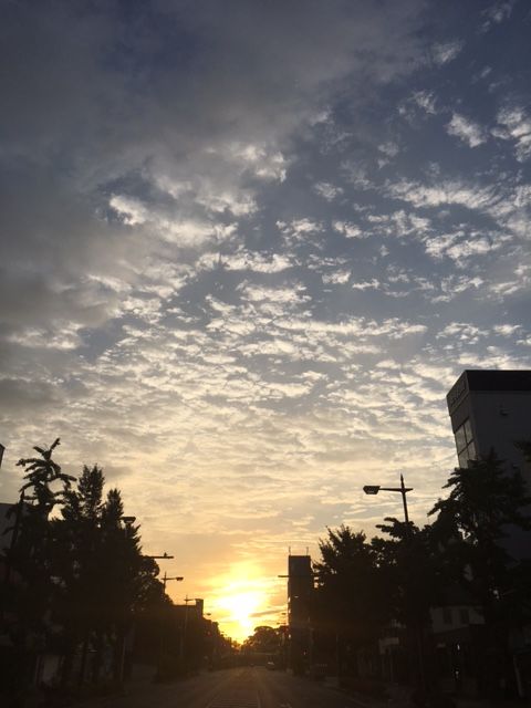 �ե���