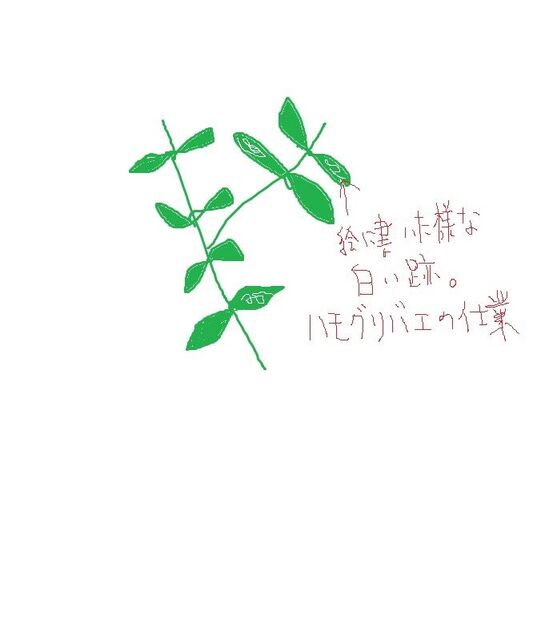 �ե���