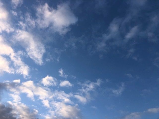�ե���