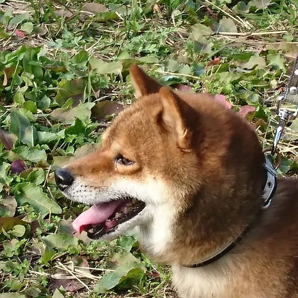�ե���