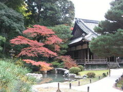 �ե���