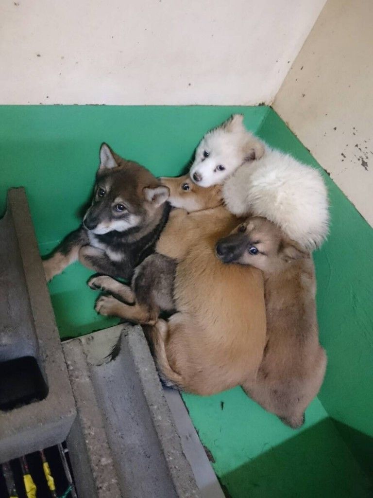 �ե���