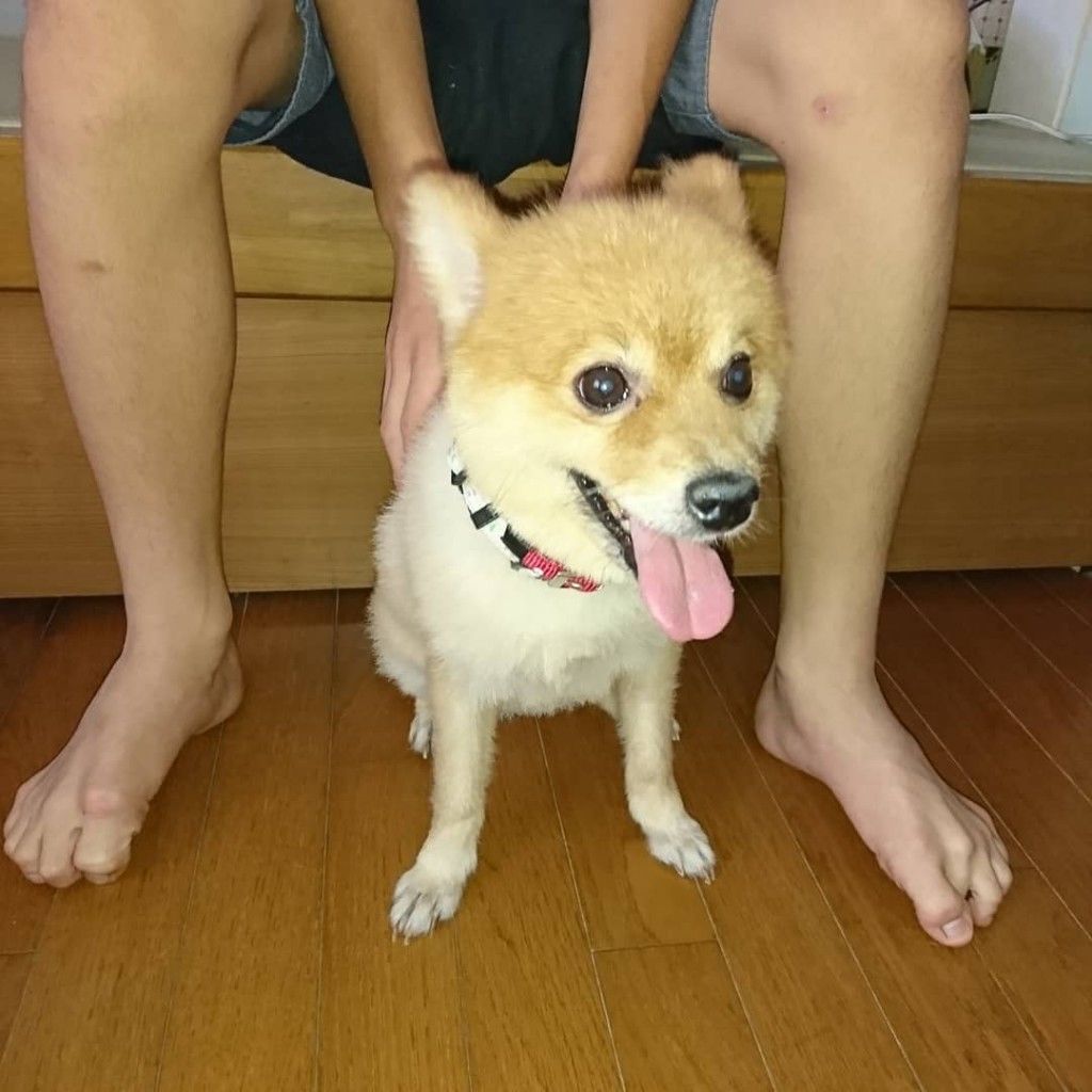 �ե���