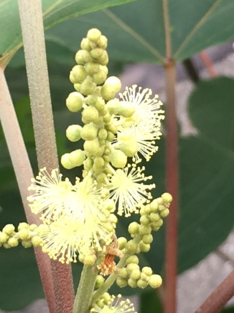 �ե���