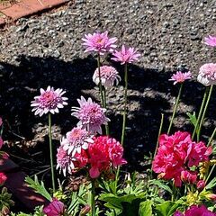 �ե���