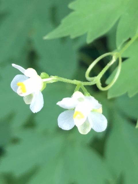 �ե���