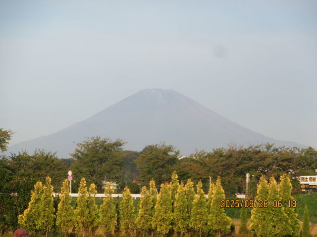 フォト