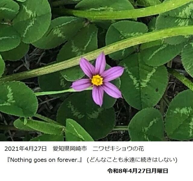 �ե���