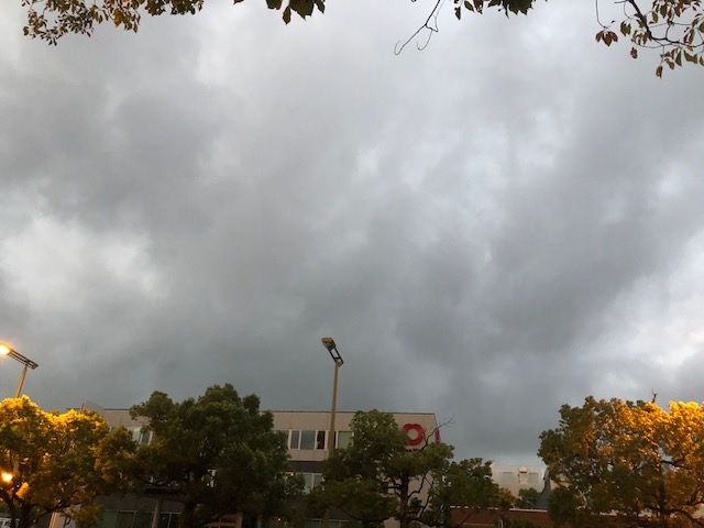 �ե���