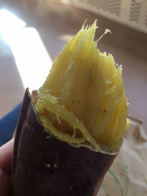 �ե���